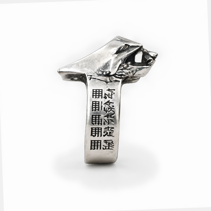 Anillo The World