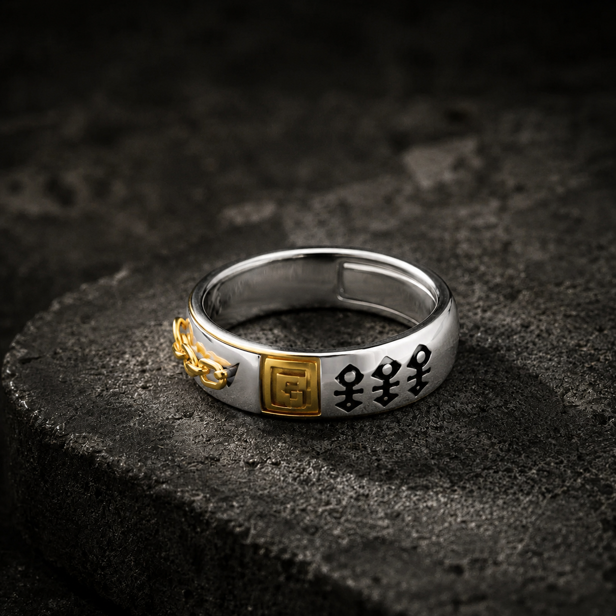 Anillo Jotaro